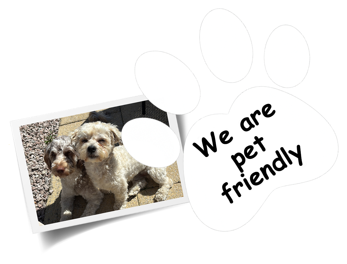Pet information